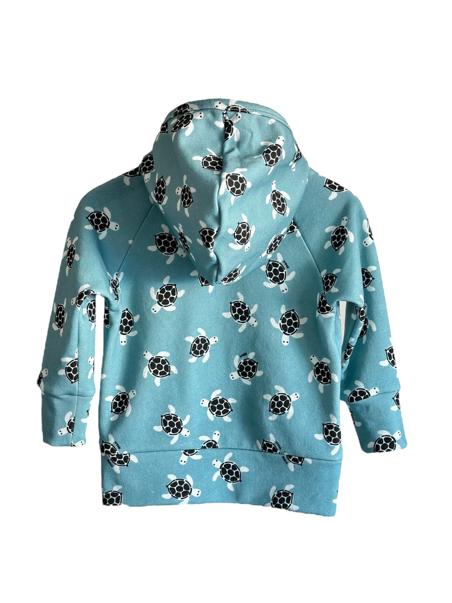 TURTLES HOODIE